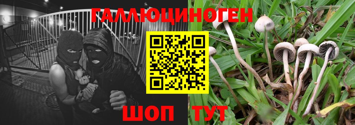 хочу   Вход с VPN  Керчь  Галлюциногенные грибы мухоморы  Псилоцибиновые грибы GOLDEN TEACHER 